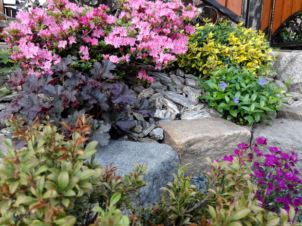 Azalie, żurawki, barwinki, żagwiny...cudowna rewia barw.