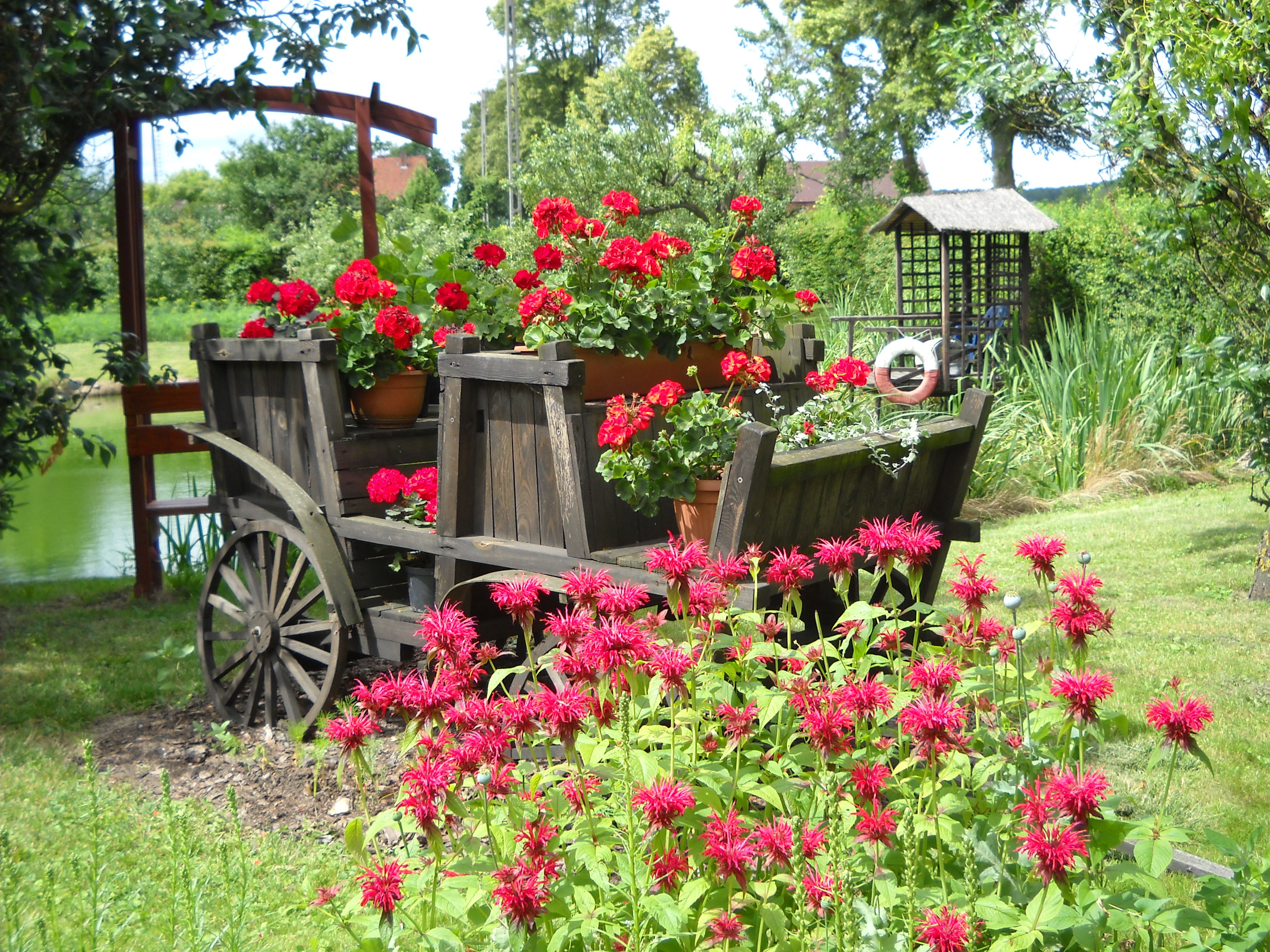 Bryczka konna wykonana własnoręcznie pod stary styl,stoi tuż nad stawkiem.