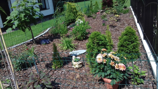 Efekt końcowy ogrodów