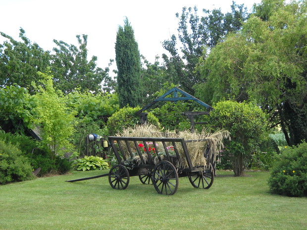 Jeden z naszych zakątków naszego ogrodu.Wóz drabiniasty w letniej odsłonie.