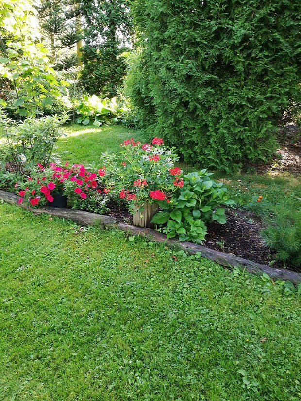 Kompozycje z roślin jednorocznych zdobią cały ogród. 