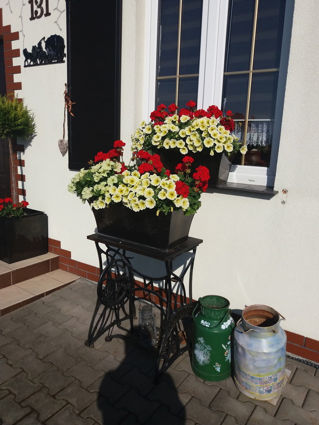 kontrastowe kompozycje