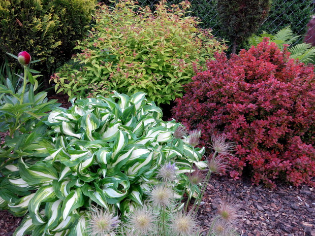 Lubię kiedy w ogrodzie jest kolorowo...