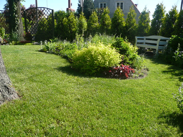 Mała rabata przy ławeczce