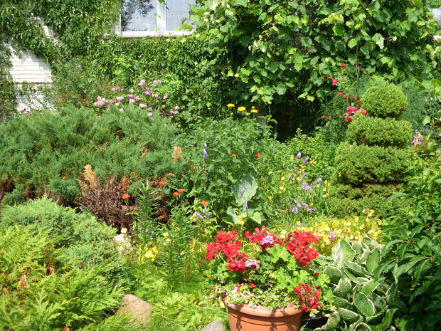 Moj piekny zakatek idylli