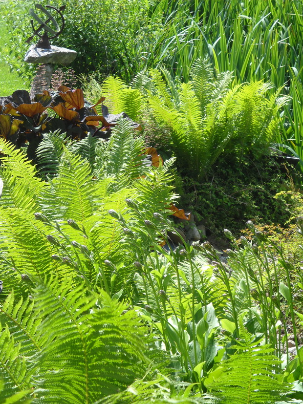 Nad brzegiem rzeczki.