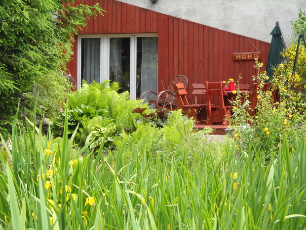 Nad brzegiem stawku-przy tarasie.