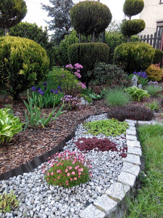 Najstarsza część ogrodu. Z maluśkich sadzonek  udało mi się stworzyć już całkiem pokaźne rzeźby:)
