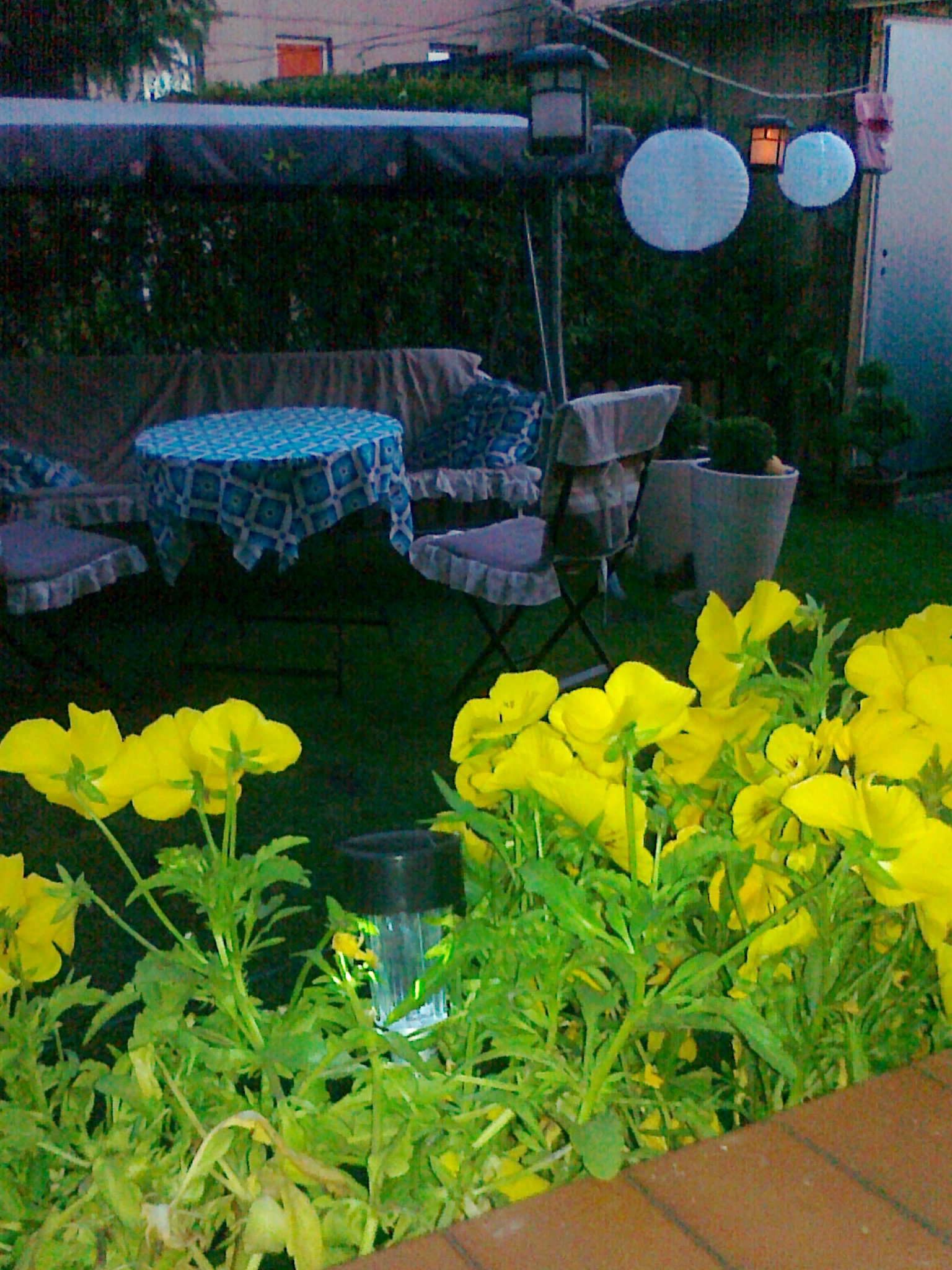 Nasz kącik - niebieski