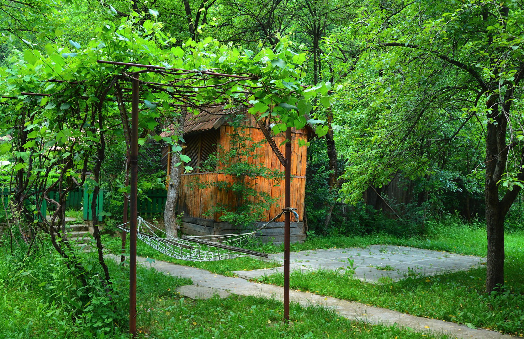 Odpowiednio poprowadzone rośliny pnące wokół altanki zapewniają ciszę i spokój (zdj.: Shutterstock.com)