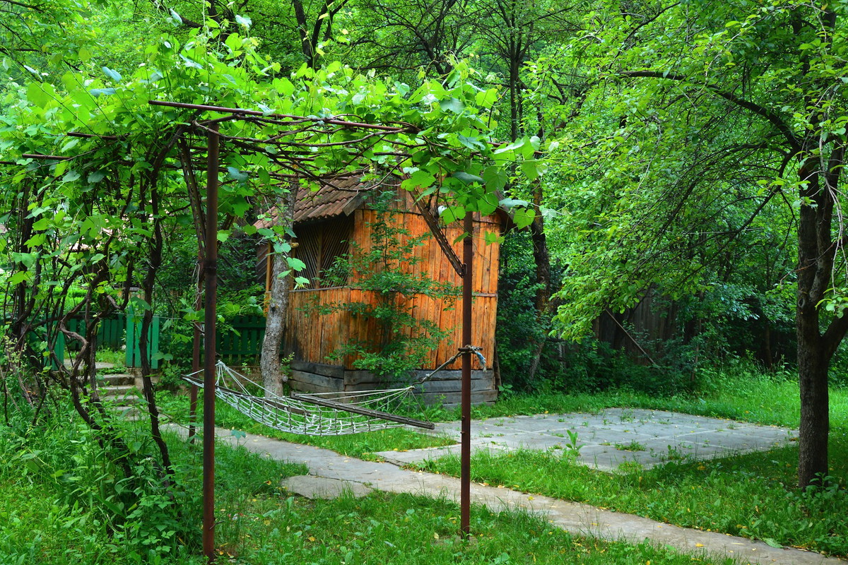 Odpowiednio poprowadzone rośliny pnące wokół altanki zapewniają ciszę i spokój (zdj.: Shutterstock.com)