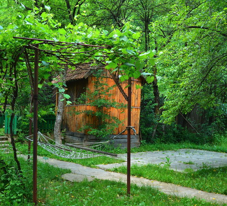 Odpowiednio poprowadzone rośliny pnące wokół altanki zapewniają ciszę i spokój (zdj.: Shutterstock.com)