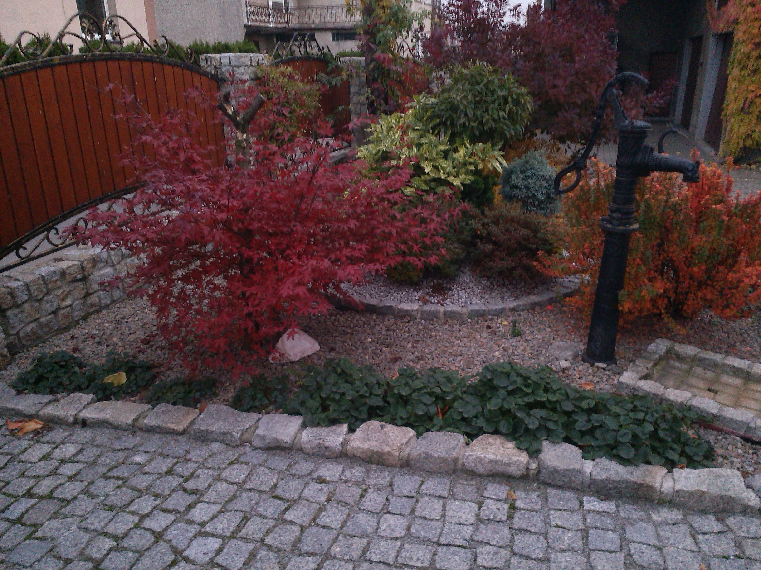 Ogród w barwach jesieni.