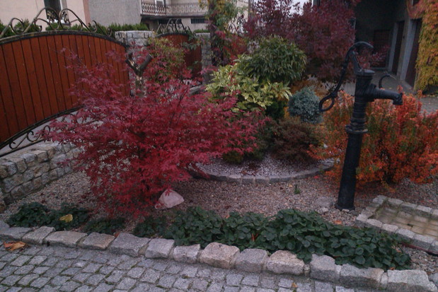 Ogród w barwach jesieni.