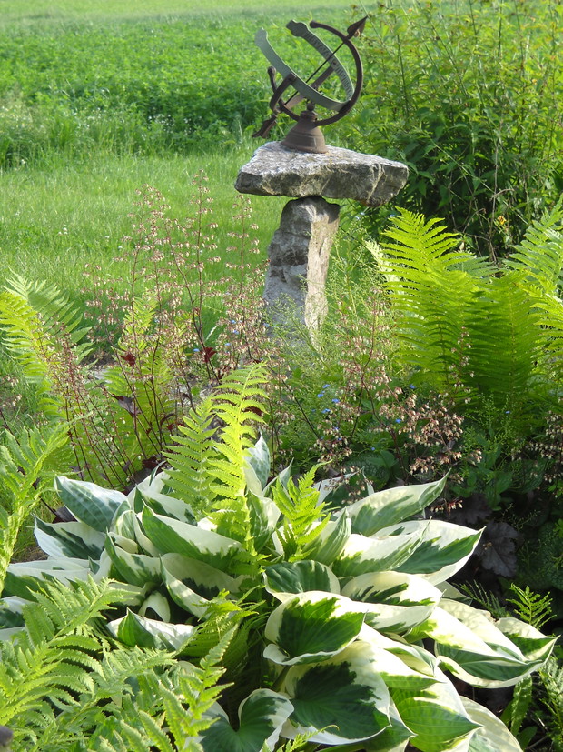 Okazałe funkie i żurawki.