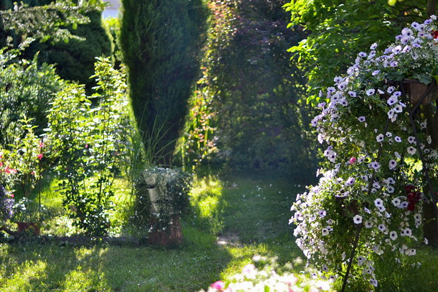 Po prawej stronie znajduje się stojak w całości pokryty kwiatami surfinii Blue Vein, która niesamowicie pachnie.