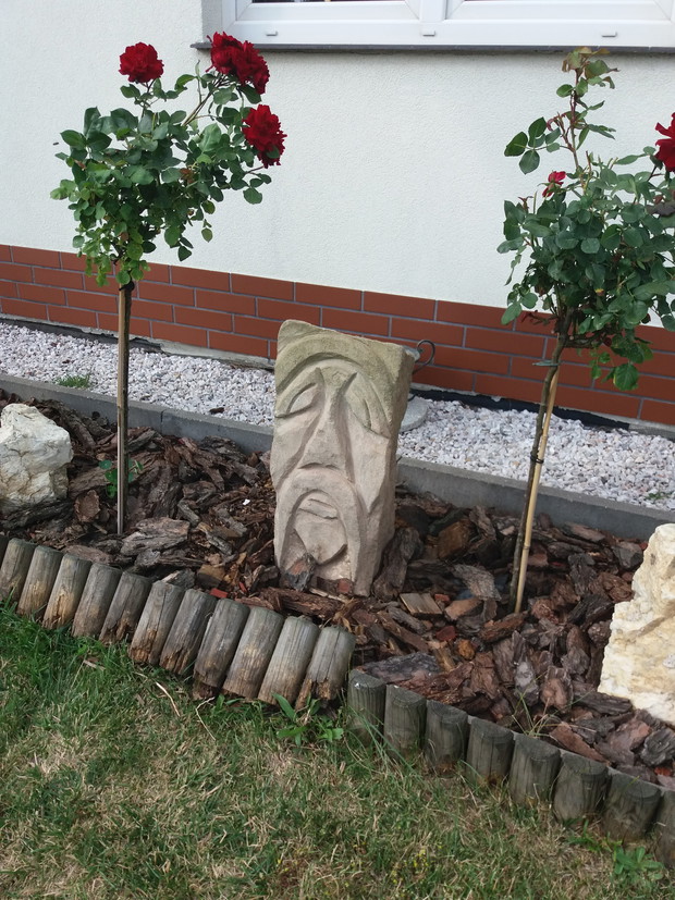 Rzeźba i róże