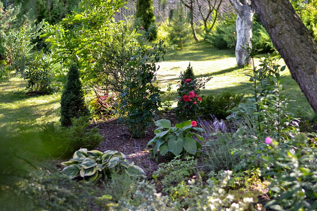 Rzut na rabatę z innej strony. 