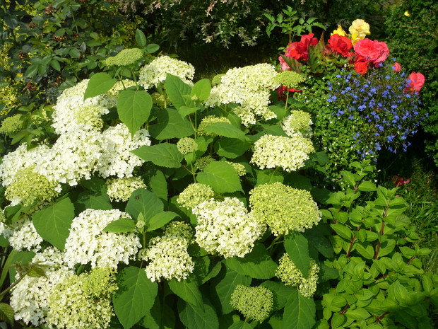 Same kolory i kolory