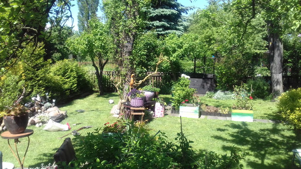 Słoneczny letni dzień.