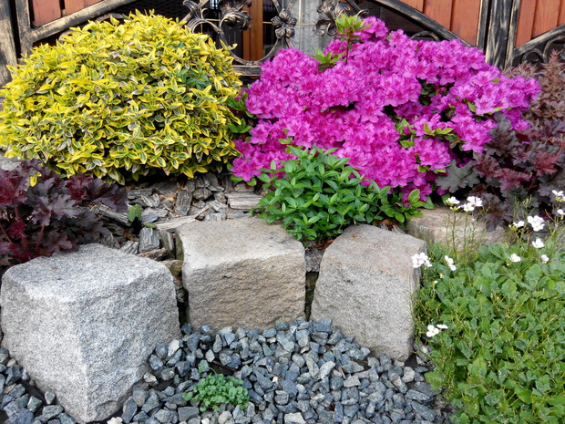 Trzmieliny wprowadzają dużo nowych kolorów nawet jeśli rabaty już nie kwitną.