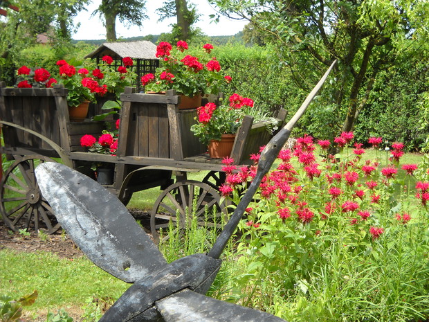 W kolorze czerwonym moim ulubionym.