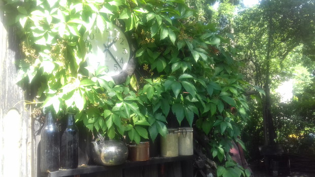 W ogrodzie czas wolniej płynie.