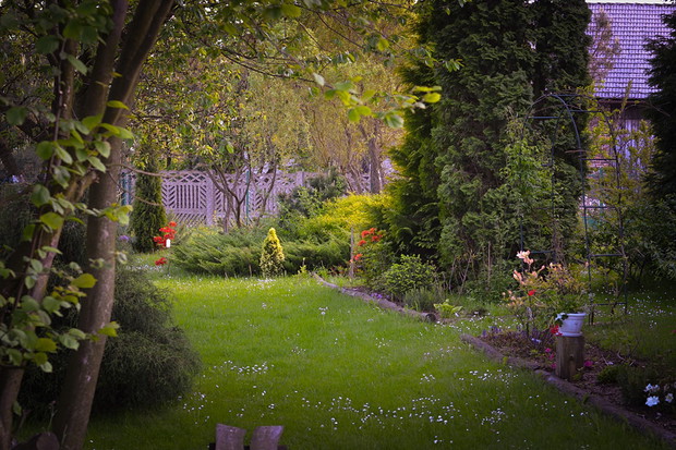 W tej części ogrodu można dostrzec najstarsze żywotniki, jakie znajdują się w naszym ogrodzie.