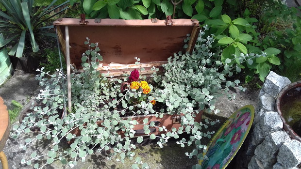 Walizka uratowana przed wyrzuceniem stała się ozdobą ogrodu.