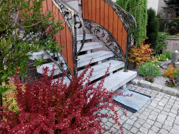 Wejście do domu. Na pierwszym planie cudnie czerwony berberys.