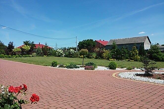 widok na ogród przed domem