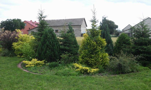 widok na rabatę od strony wejścia - najpiękniejsza na wiosnę, gdy kwitną szafirki i hiacynty