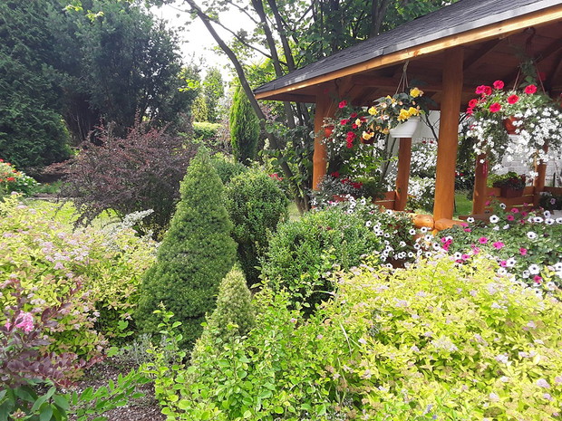 Widok na rabatę przy altanie. 