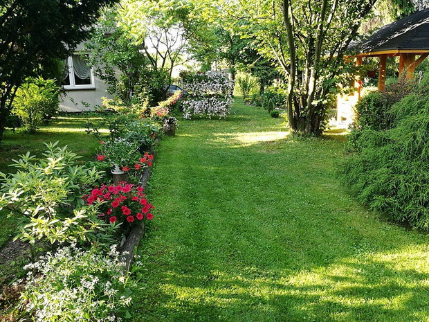 Widok na stojak z surfiniami wykonany przez mojego męża. 