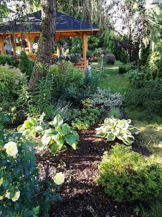 Widok na większą część rabaty. 