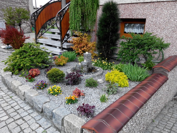 Wiosna ! Wszystko budzi się do życia. Cudowne kolorowe bratki dodają uroku wiosennej rabacie.