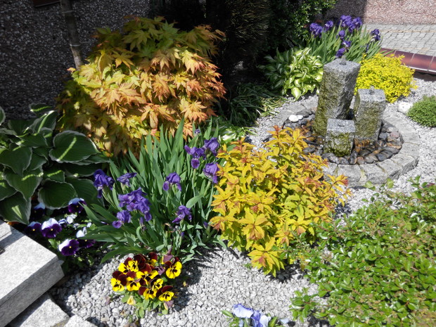 Zakątek z fontanną. Migoczące światło wieczorem dodaje uroku całej przed domowej rabacie...