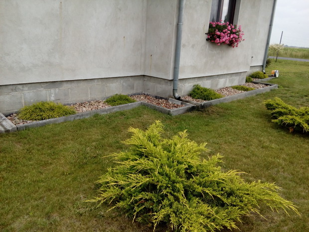 Zieleń przydomowa strona południowa