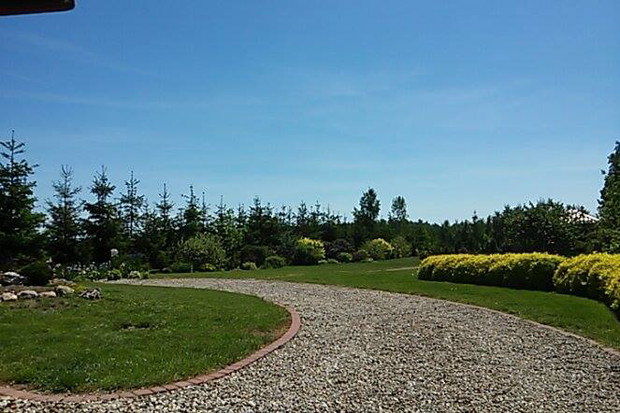 żwirowa droga do drugiej części ogrodu i zakątka irysowego