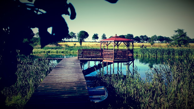 Altana wraz z pomostem