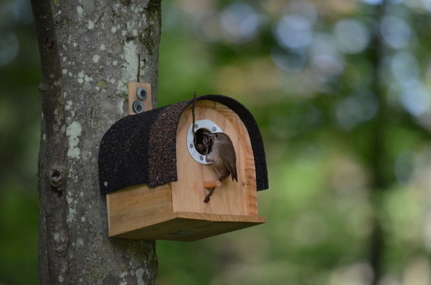 ciasny ale własny :)