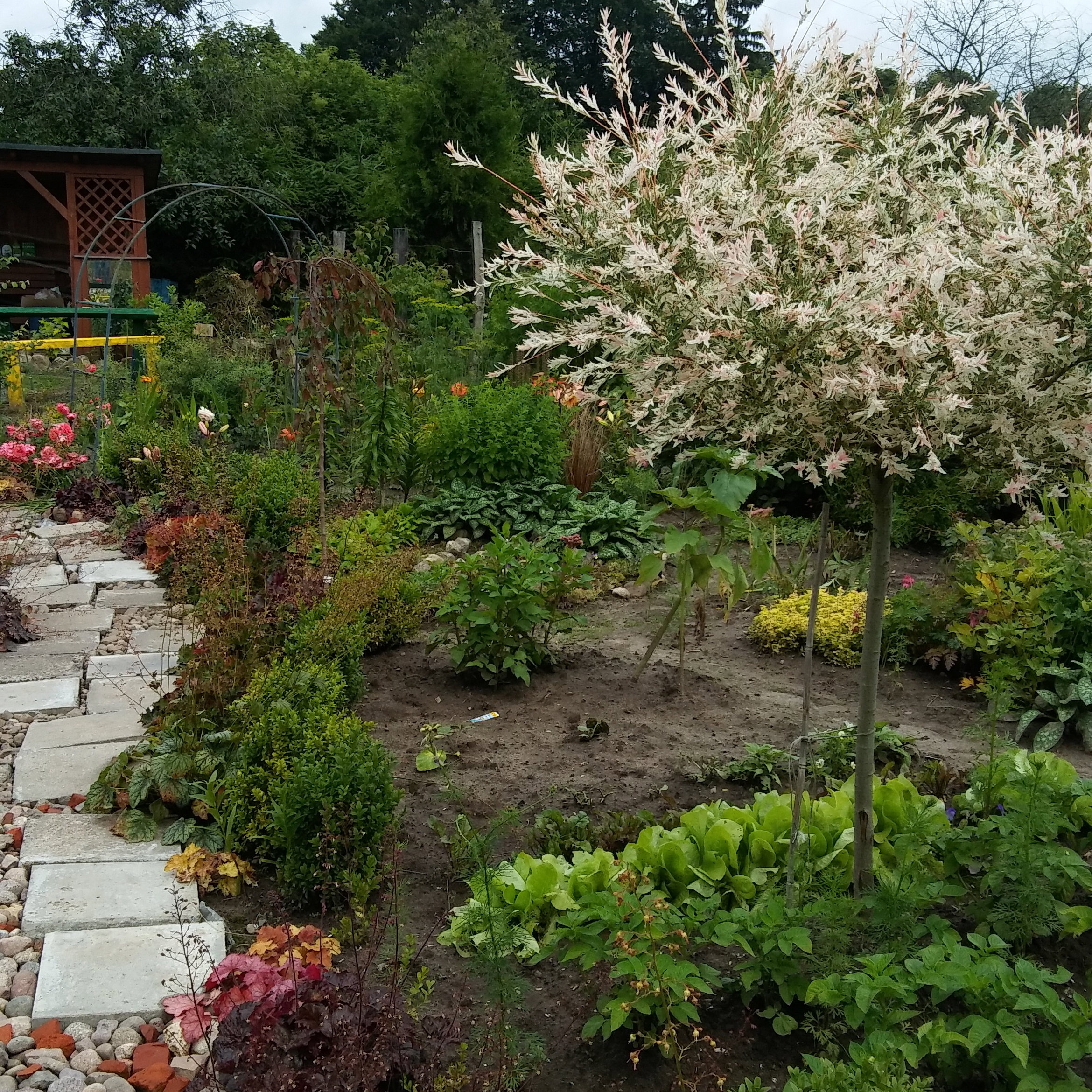 Co jest za zakrętem?