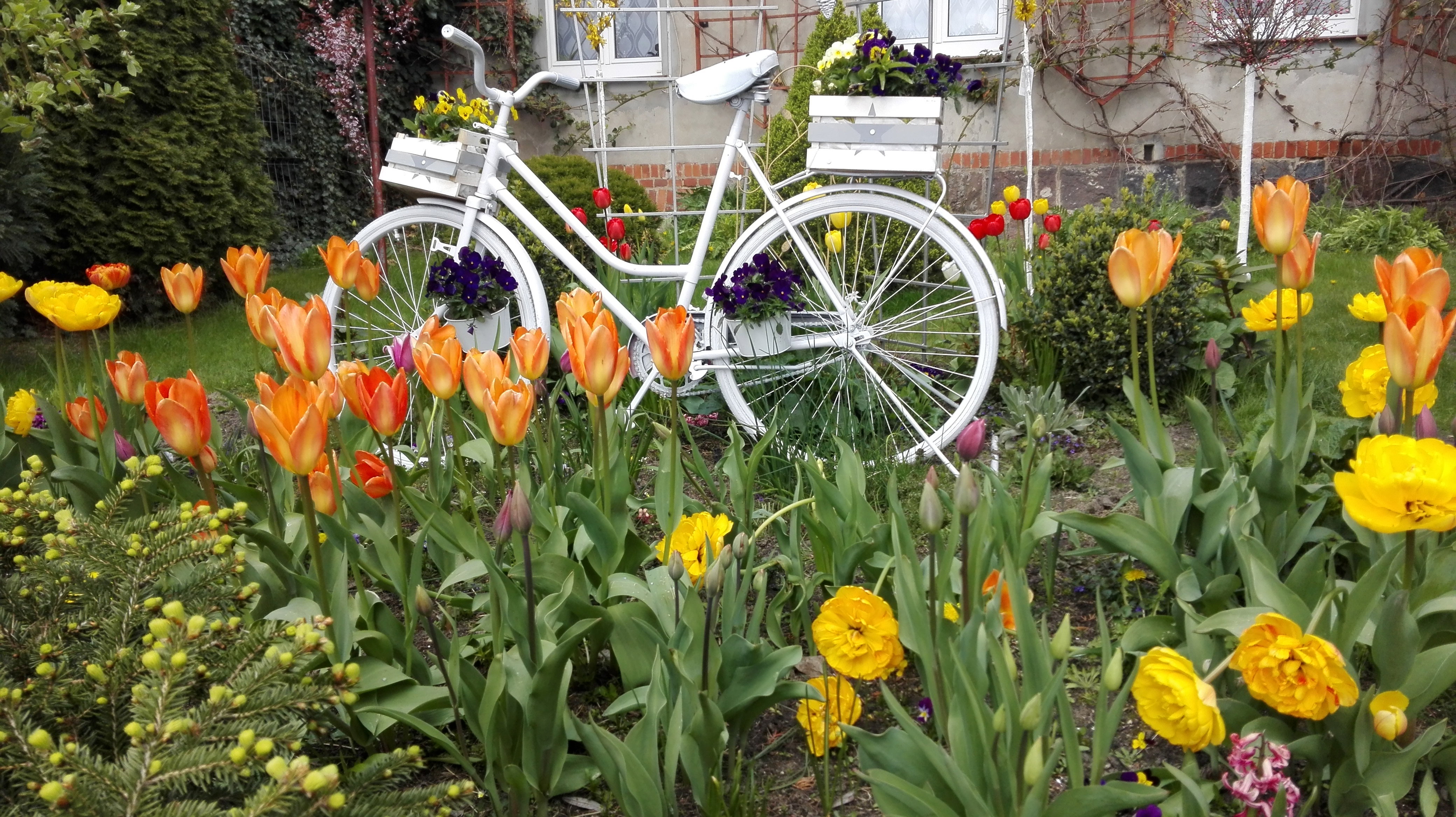 Czar dwóch kółek- wiosna.