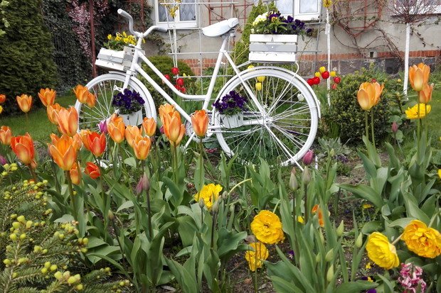 Czar dwóch kółek- wiosna.