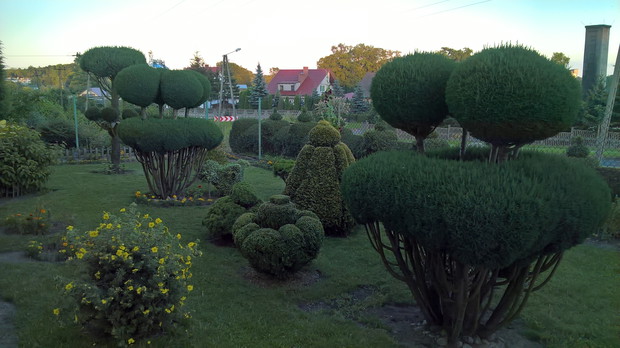 cześć ogrodu od ulicy również nie może się obyć bez moich "rzeźb"