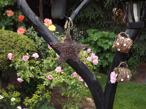 Dodatkową ozdobą drewnianej lampy są kubki z winobluszczu i gwiazda z gałęzi brzozy.