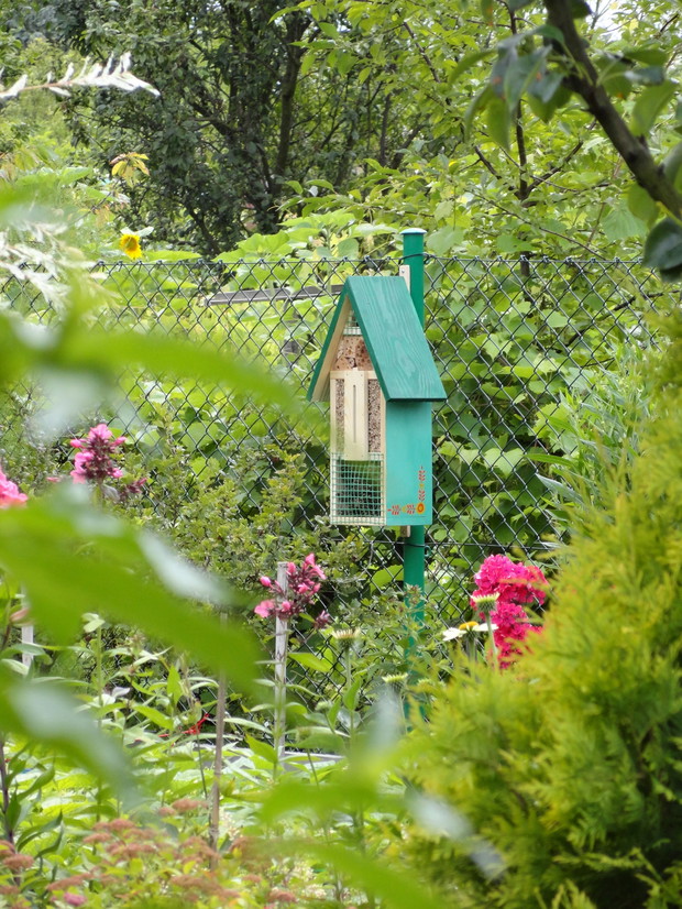 Domek dla owadów...