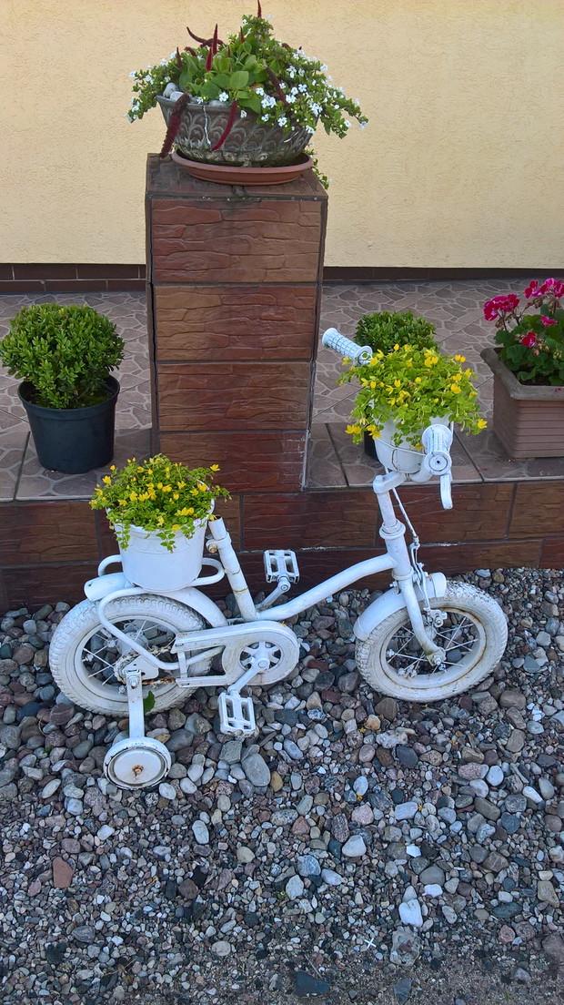 dziecinny rowerek zamiast na złom zyskał drugie życie jako ozdoba i donica na roślinki