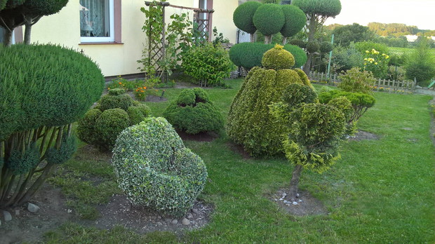 fotel z trzmieliny na pierwszym planie