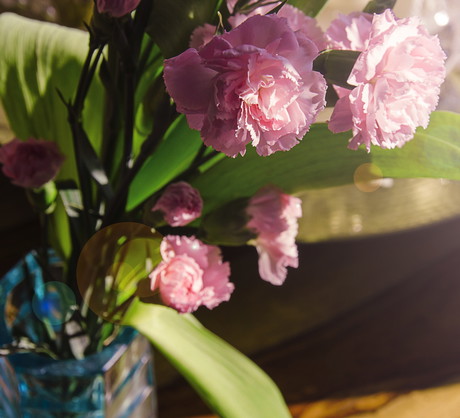 Goździki są cenionymi kwiatami bukietowymi ze względu na swoją żywotność, w wazonie potrafią wytrzymać nawet do dwóch tygodni (zdj.: Fotolia.com)